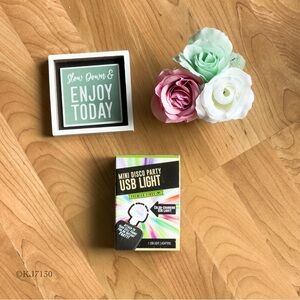 ‼️CLEARANCE SALE‼️ 🆕Mini Disco Party USB Light New in Sealed Box